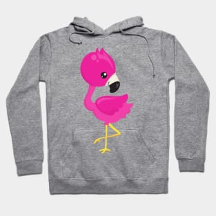 Cute Flamingo, Pink Flamingo, Baby Flamingo, Bird Hoodie